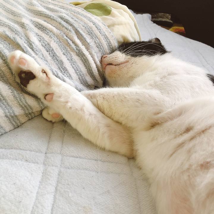 F957c9f7 74e1 4ccf 9e4a da291ecb1bed 1630073513544