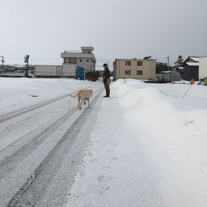 F9581766 43be 433a 97f6 653954177e27 1548212191728