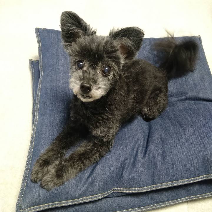 F95830b1 ebb3 4477 9171 046268d87cea 1721302119082