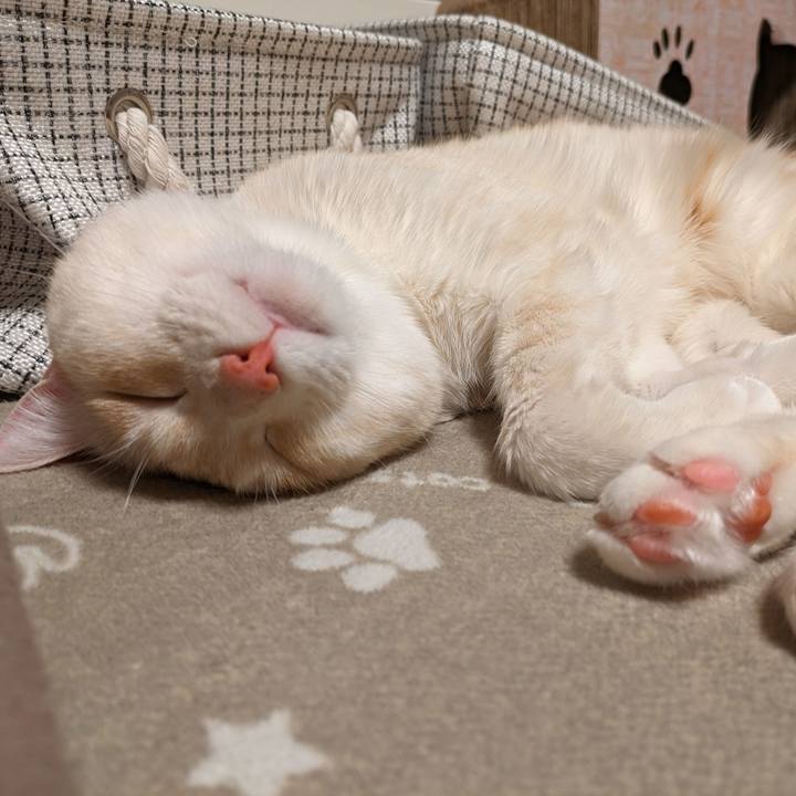 F9585e2e 7022 4d54 872e bfbfa91da8fe 1709385856536