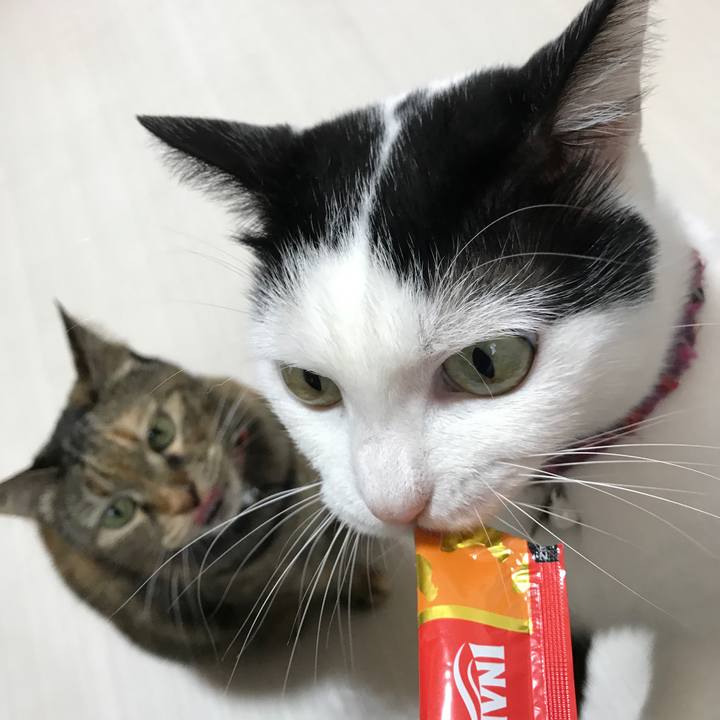 F958738c 804f 445f af68 bca9a8e592b8 1538894674927