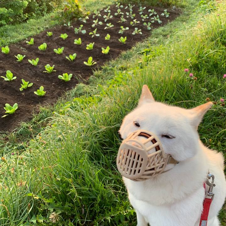 F9588f62 dfae 4793 a6d4 ab304d98c74e 1566164328242