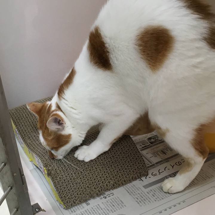 F958d51e 23a2 4c14 985a 4d2f4cc4f533 1509926136419