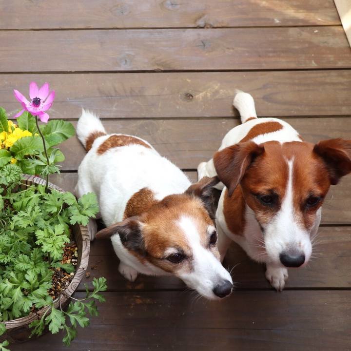 F958d993 f0dc 4089 b774 c999e48fda46 1523447497443