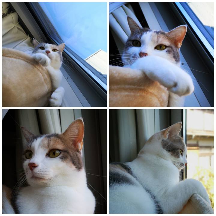 F9590bba 91a4 4924 92a9 cbc98ca61110 1575100564408