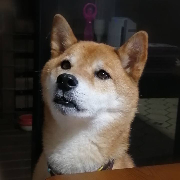 F9595dfe a84f 4f46 bcaa 85acdb92b941 1627649293696