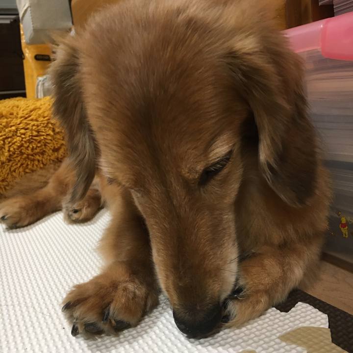 F95973ff d0aa 4241 8ed7 2817d694c143 1628513929936