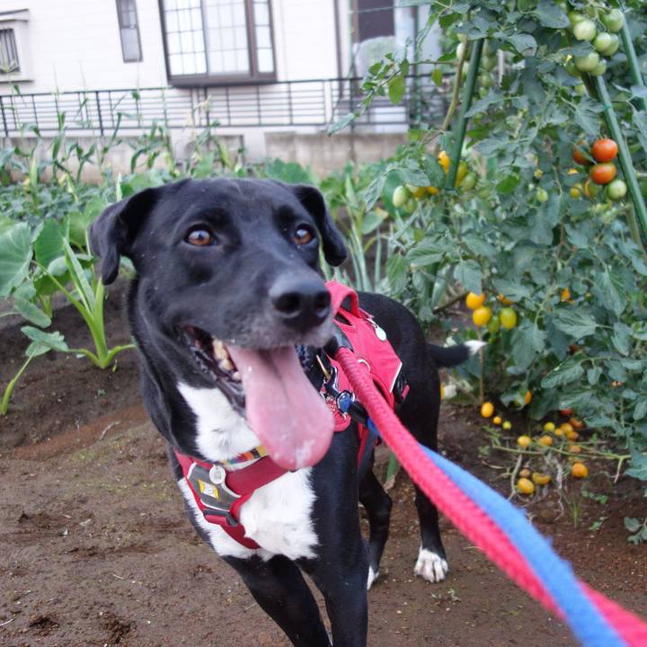 F959ea8a 0d57 45c6 a5ba a891e9108f6e 1593944937353