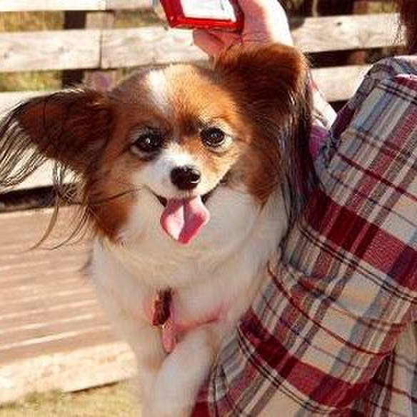 F95a056a 9017 471e 923b a73bfdc9b7ca 1519110193110