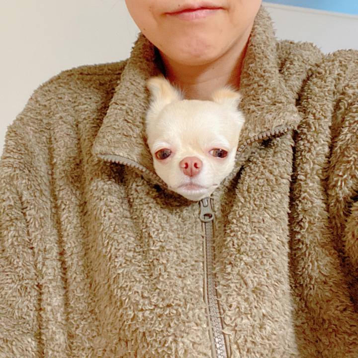 F95a8cf6 42b1 4d39 b03e 5d9fb97033d7 1638154969422