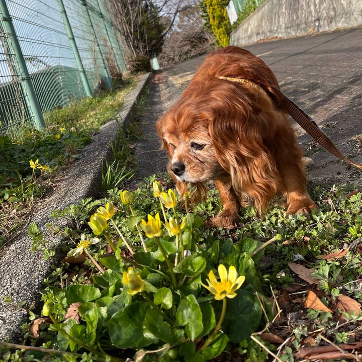 F95a94e3 a763 465f bc70 c7b90298df8d 1773705766476