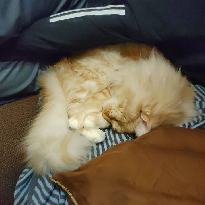 F95ac259 6419 473c aba0 0481d3b9651a 1678459956980