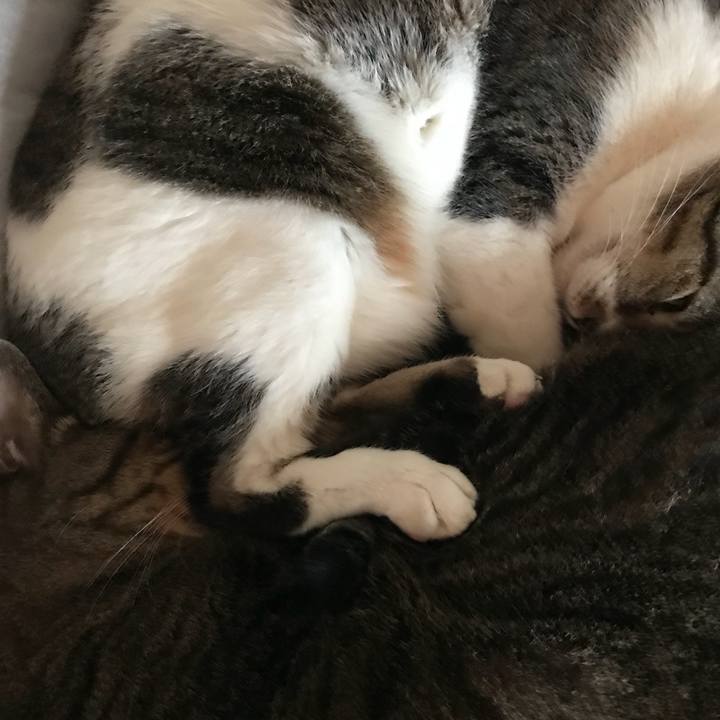 F95acd06 8b6f 455d 8b3d 61a73cd0770d 1536714225700