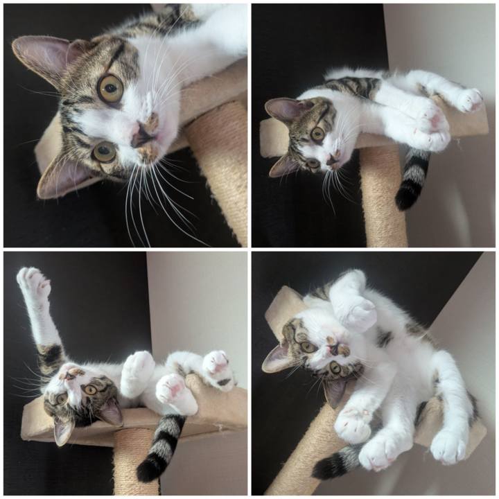 F95acf53 fbd9 42d9 826a dabc5c07a0ba 1752196356384