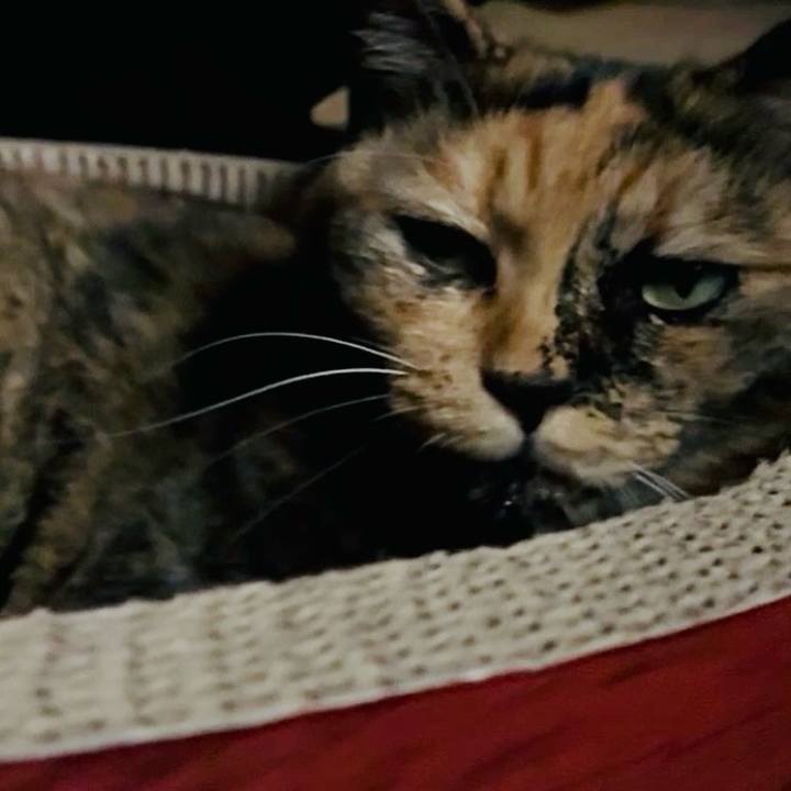 F95aea36 9004 4425 b1e6 20f9c047a11b 1759399674798