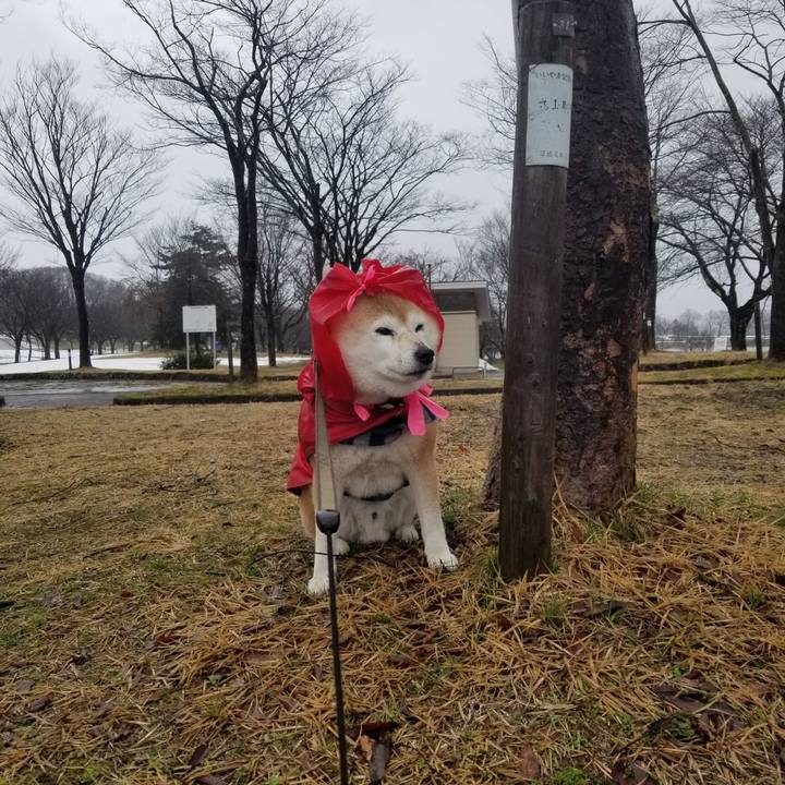 F95af47d 6e02 4d14 9350 72e339d2a622 1711424457081