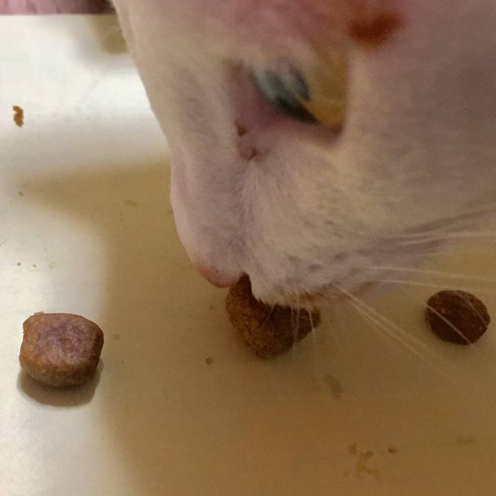 F95b296d 60b2 423b bfbd 500d3e4e98ab 1509771699573