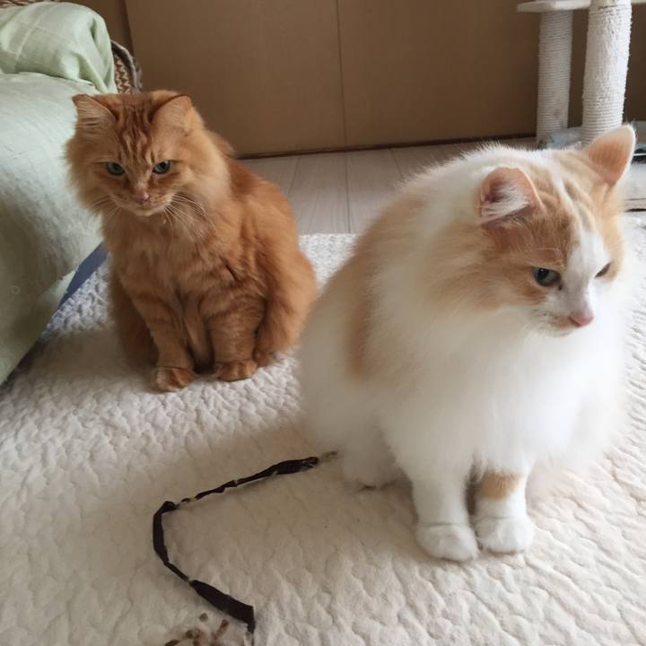 F95b3154 65b4 4992 a430 7e3fe6973158 1521757297746