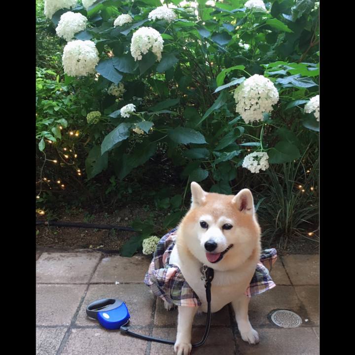 F95b3442 61d4 4e35 a72b a843d232da50 1623855457885