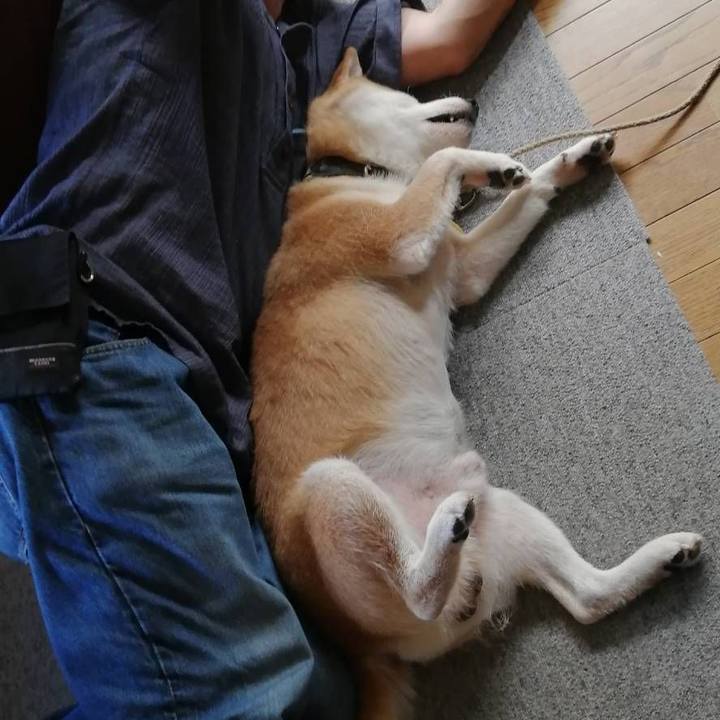 F95b41e0 5b0a 43a3 88b7 74565c9193d0 1597305155297