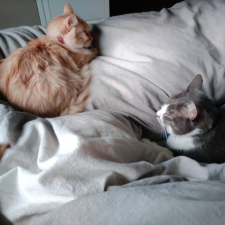 F95b6742 835d 470b 88f6 20d7b41a94d2 1670031301385