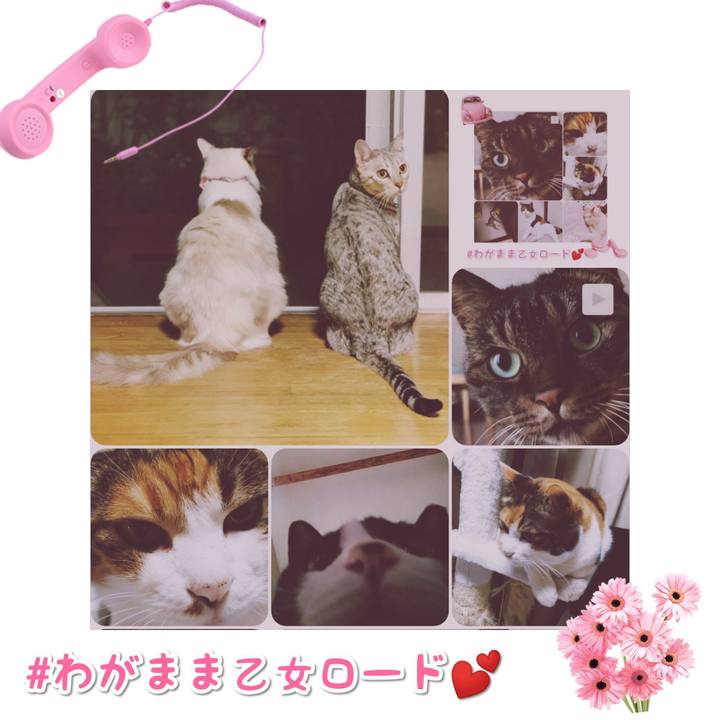 F95bad94 3a8d 4630 8d7e fc7d5124c86c 1567253112695