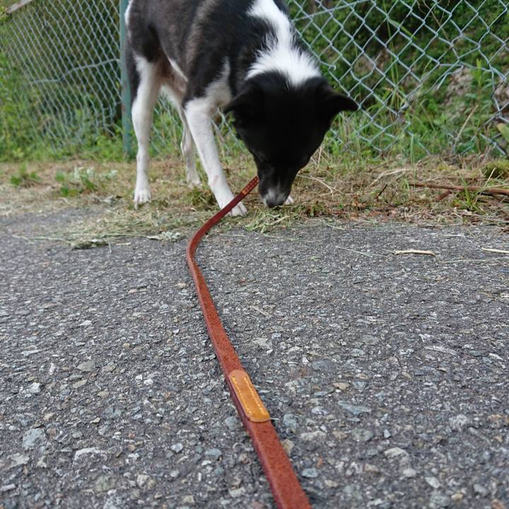 F95beafa 783a 48f4 af86 ebaab653db50 1528113109410