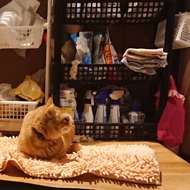 F95bec4b f6ee 4161 be29 3ea4b37573af 1639223193151