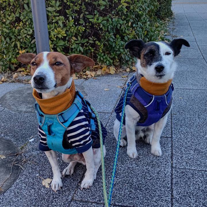 F95c0647 52dc 461a b47e 57c48f0843bf 1672788956762