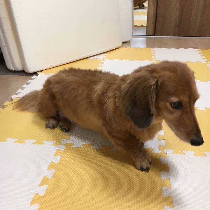 F95c1abe 3db1 42b5 9c27 c561b2984841 1527167650800