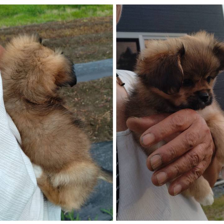 F95c1e11 6f24 4714 8f0e 0acc26dd7987 1720259487829