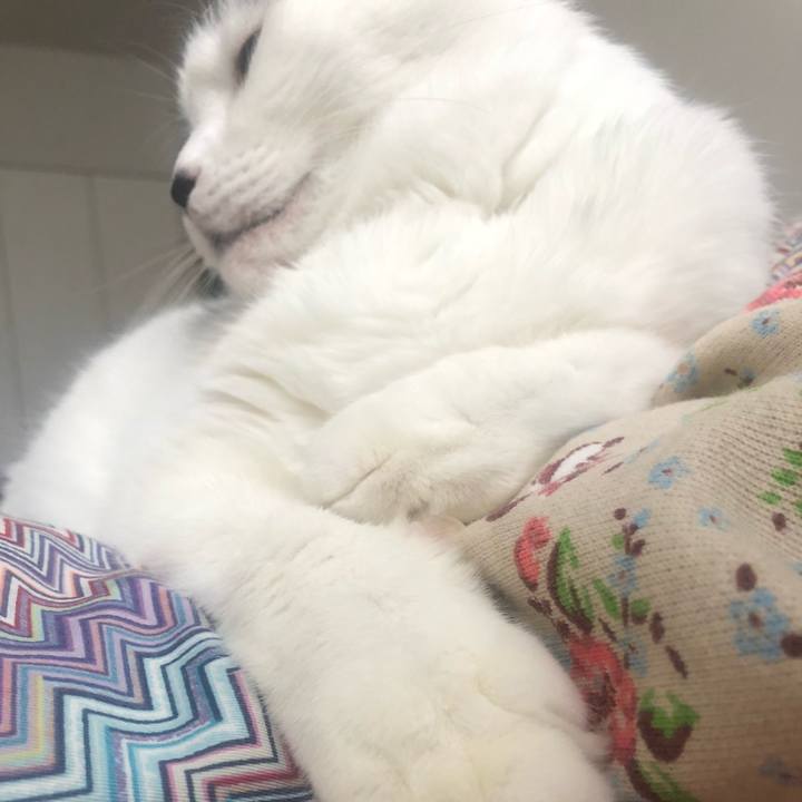 F95c3752 35fc 458f 829e 42fd6dee119e 1604198078217