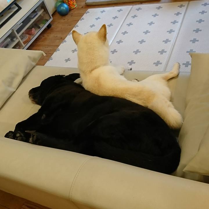 F95c48dd ca20 4968 9393 844b3f7dbb0c 1549604432293