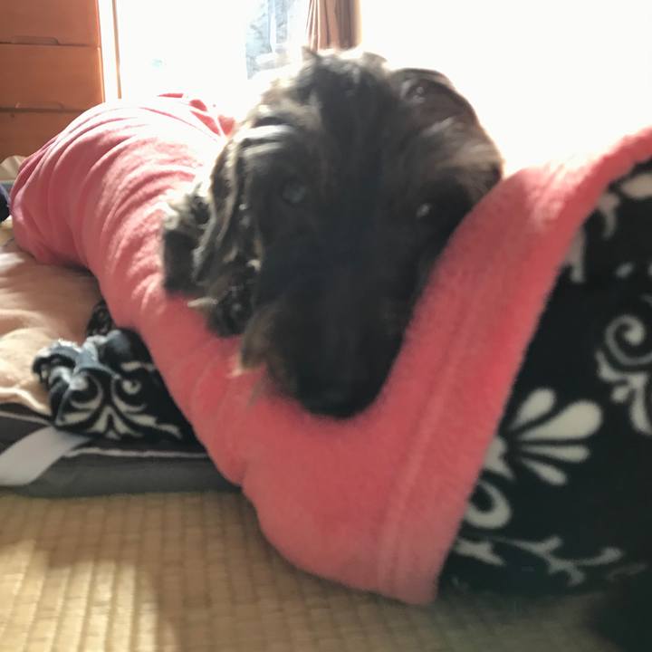 F95c87c4 5d89 4713 a7bd 581d7a1b18ff 1548987110267