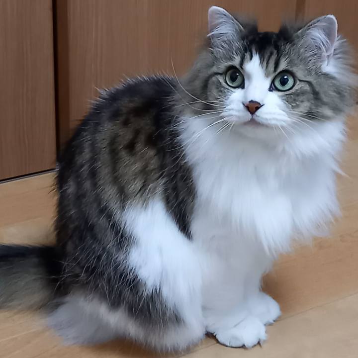 F95c8b23 e0ed 444d 8f17 dadbd7dd8daf 1615581909946