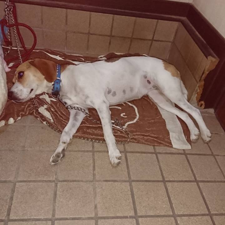 F95c8f17 4165 48ea 9344 e40b3eacc2a5 1564230608427