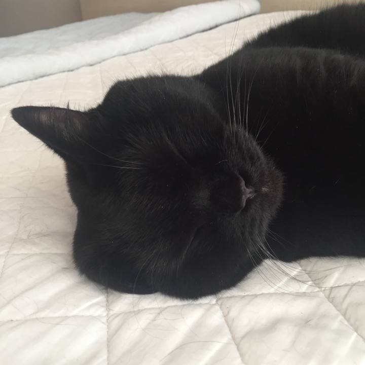 F95cdb7b 5b65 45c7 998b ed240da0f265 1527557011182