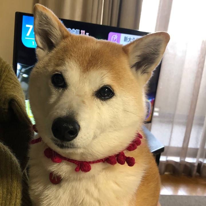 F95ced5e 0c51 4719 a4d8 44e117529438 1706580220472