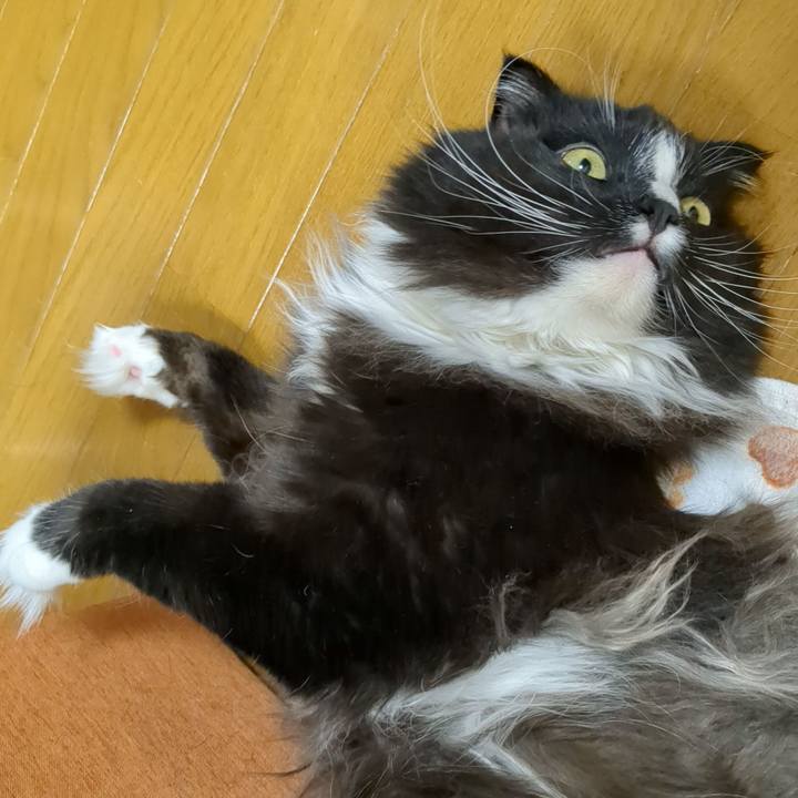 F95d15d8 d889 4fcd 9811 50304d04e948 1682163545982