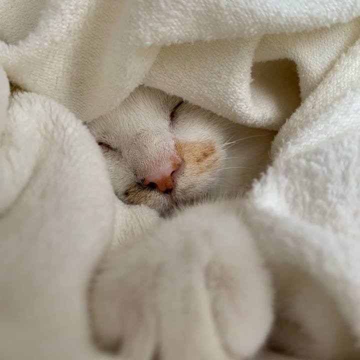 F95d3c0e 6b45 4b7a b54d 2e851c3d1d39 1622210459911