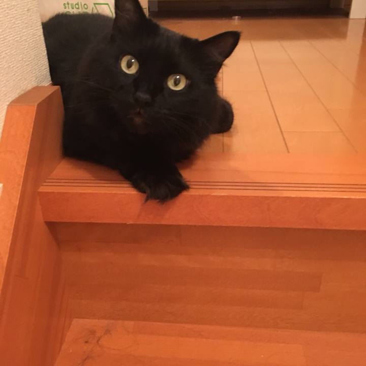 F95d4afc fa57 43a9 a93e 7cdeba5c1b43 1532267470907