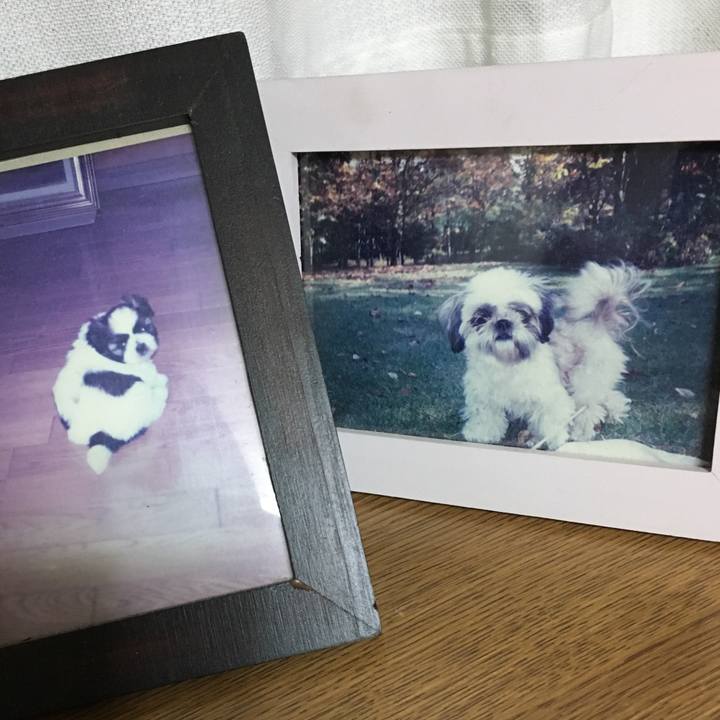 F95d5e62 750b 481a bc3c 96947700c9df 1534159290804