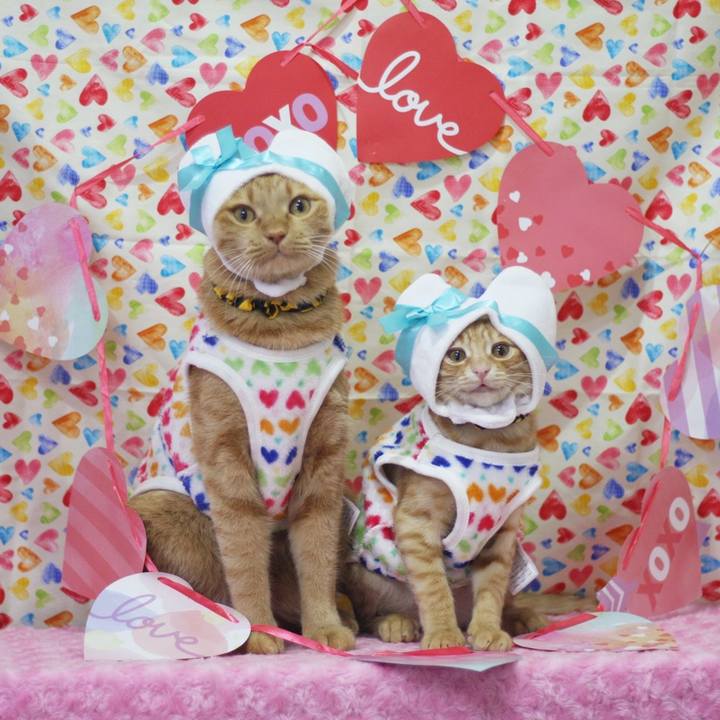 F95d9500 fcdd 4d28 83e1 6ee2eec39b98 1676323212845