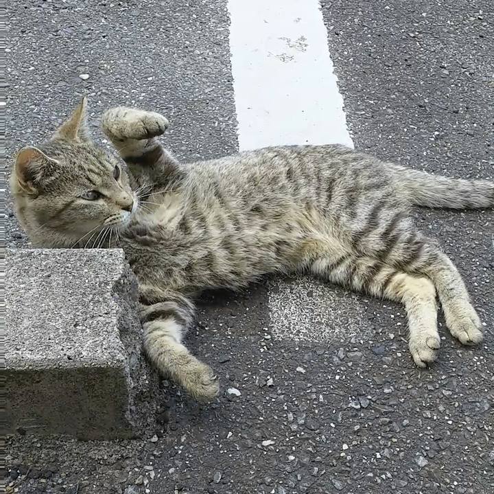 F95dbd7f 7503 4e07 ab6b ab844ae20201 1529212937706