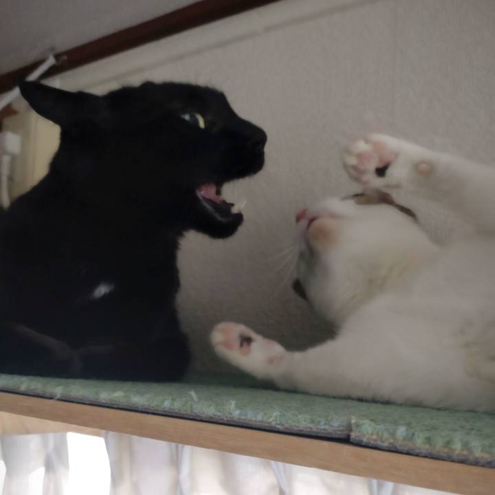 F95ddb56 9c00 4859 98b6 4bea3eb12612 1672444925213