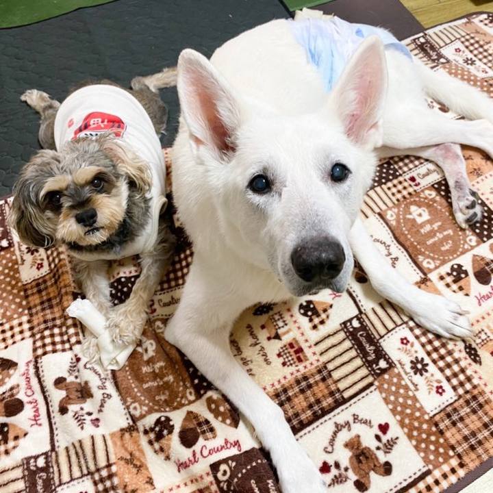 F95de7b6 4166 425e b202 cc9df9a24e77 1667471450898