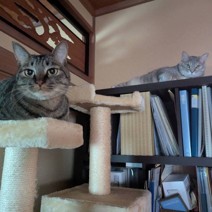 F95e2c37 0f8b 4fd9 876c c5acc7ddd5a6 1743247251182