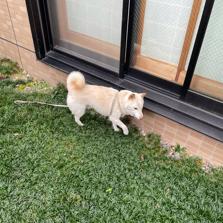 F95e2e1f 55a7 4dc1 90dc 379b124ca22f 1634469869407