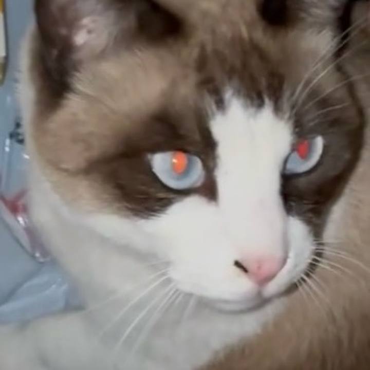 F95e3728 1e0a 4b94 af7c 705e64ec1585 1764935024689