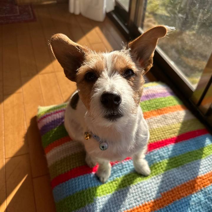 F95e411c 7c1f 4e75 8d61 80451d3641f6 1772327830066